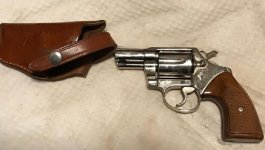 Colt.jpg