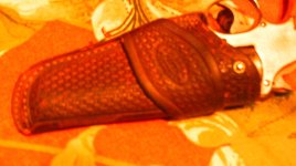 IMAG0134.jpg
