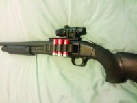 shottie.jpg
