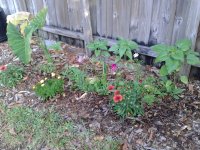 20180318_084213.jpg