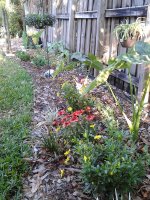 20180318_084424.jpg