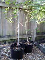 20180318_084401.jpg