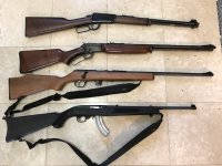 22 LR Rifles.jpeg