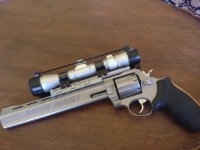 Raging Hornet 10 inch 22 Hornet Stainless.jpg
