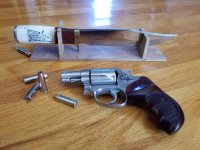 Model 60 no dash and the Wolf.jpg
