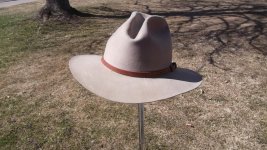 Stetson Hat 2018 002.jpg