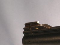 IMG_5918.jpg