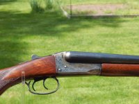 Stevens -3.jpg