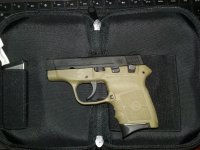 M&P Bodyguard 380.jpg