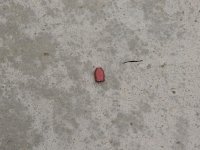 smashed bullet.jpg