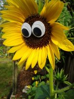 20180506_084310.jpg