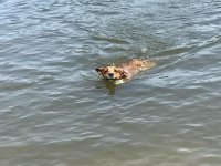 IMG_1450.jpg