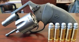 Charter Arms Boomer.jpg
