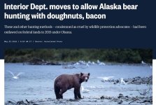Alaska.jpg