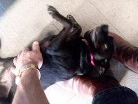 20180515_082441.jpg