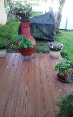 20180422_081437.jpg