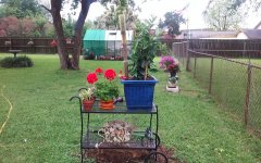 20180422_084159.jpg