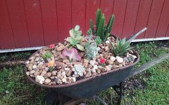 20180422_084226.jpg