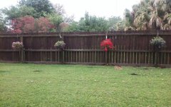 20180422_084345.jpg