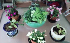 20180430_100549.jpg