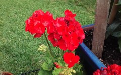 20180430_100619.jpg