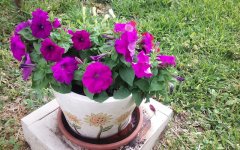 20180430_100841.jpg