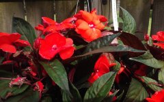 20180430_100737.jpg