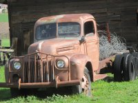 IMG_1679.jpg