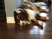 IMG_0580.jpg
