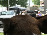 IMG_1677.jpg