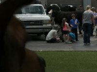IMG_1679.jpg