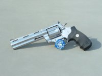Ana2.jpg