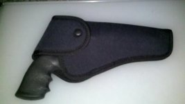 in holster.jpg