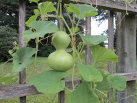 IMG_1425.JPG