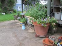 IMG_1429.JPG
