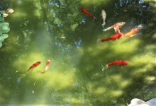 IMG_0999.jpg