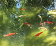 IMG_1000.jpg