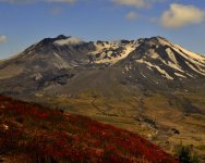 _DSC0360.jpg