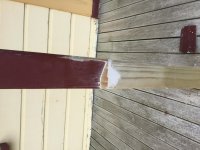 IMG_0031.jpg