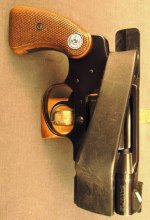 t colt (5).jpg