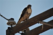 DSC_0127.jpg