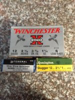 Ammo rs 2.jpg