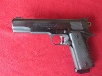 COLT GCNM C.jpg