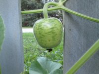 IMG_1477.JPG