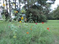 IMG_1479.JPG