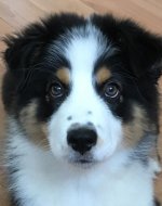 13 weeks.jpg