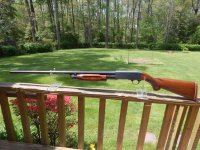 Ithaca M37-2.jpg
