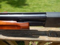 Ithaca M37-6.jpg