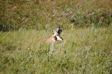 DSC_0202.jpg