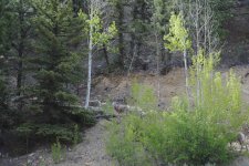 DSC_0414 (1).jpg